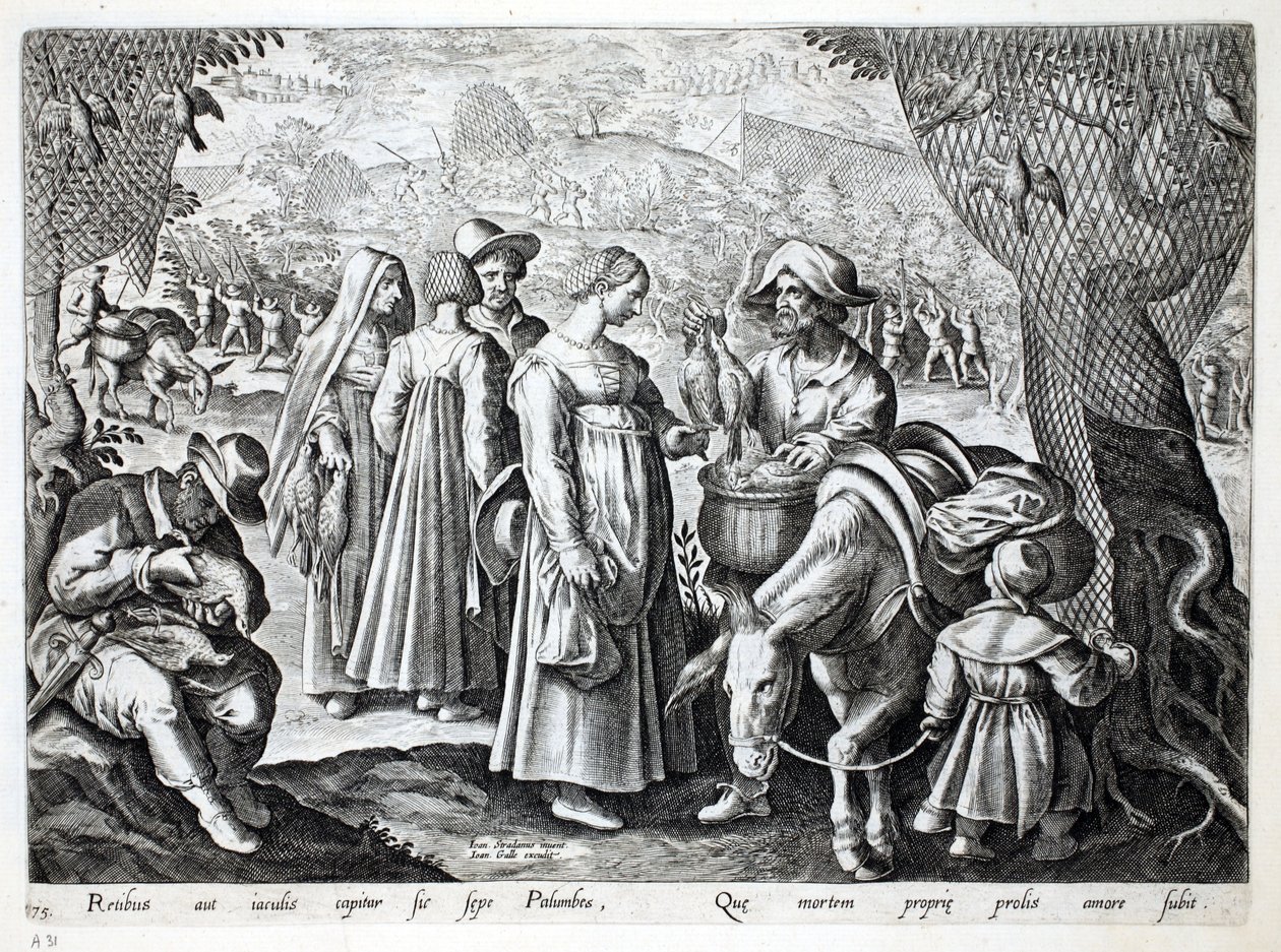 Cazadores de aves vendiendo palomas torcaces, ilustración de 