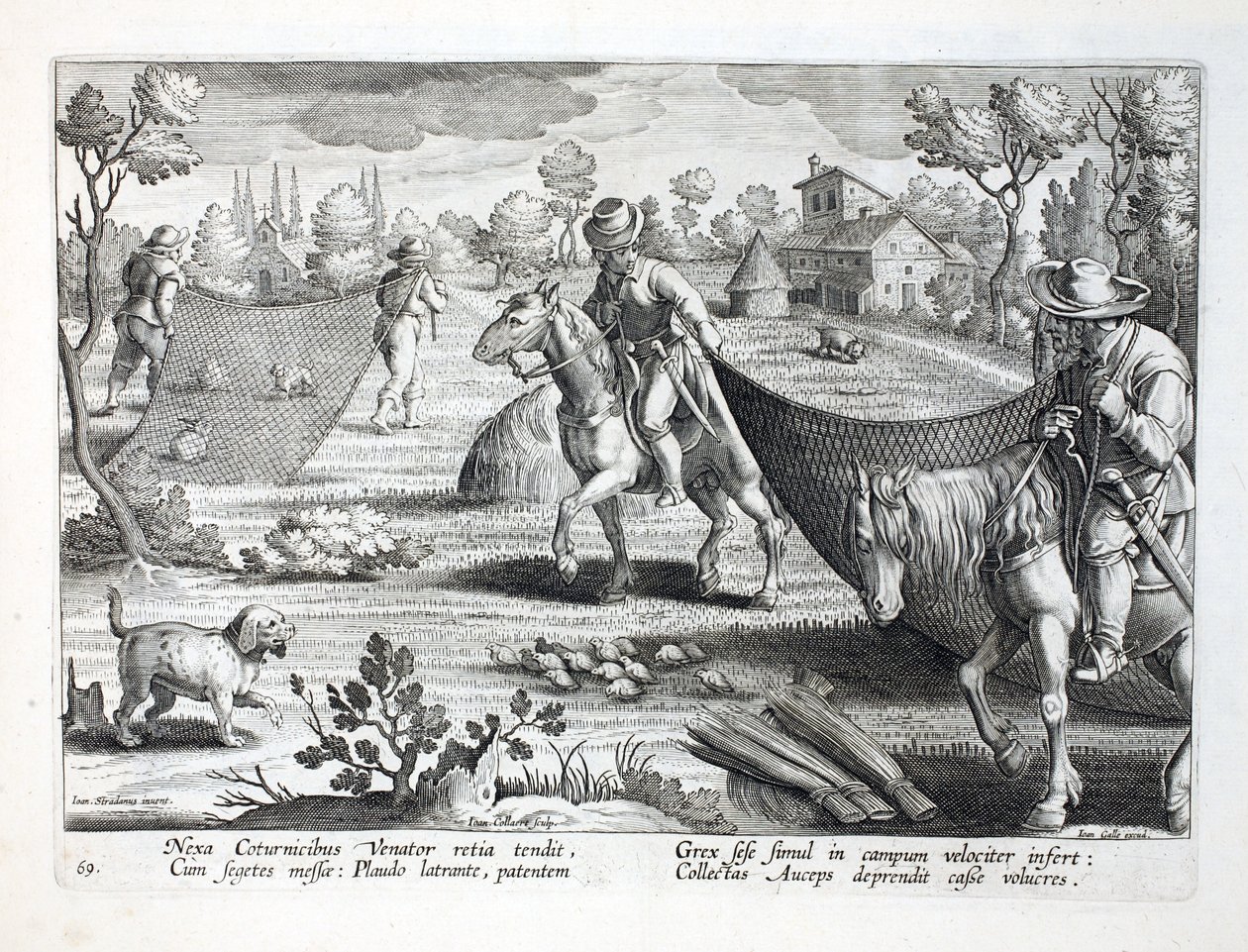 Cazando codornices, ilustración de 