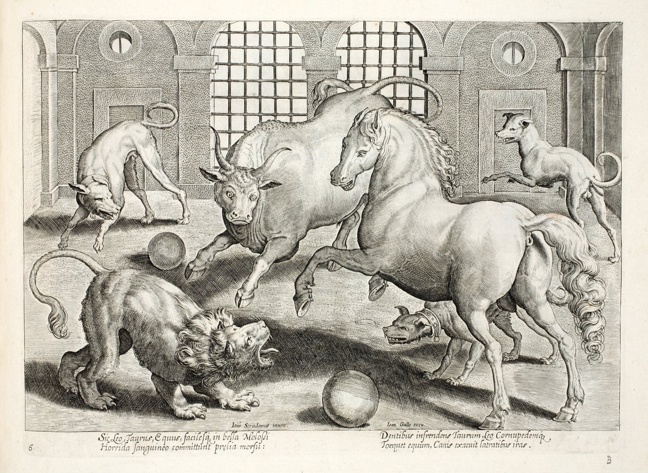 Lucha feroz y sangrienta entre un león, un toro y un caballo, rodeados de perros ladrando enojados, ilustración de 