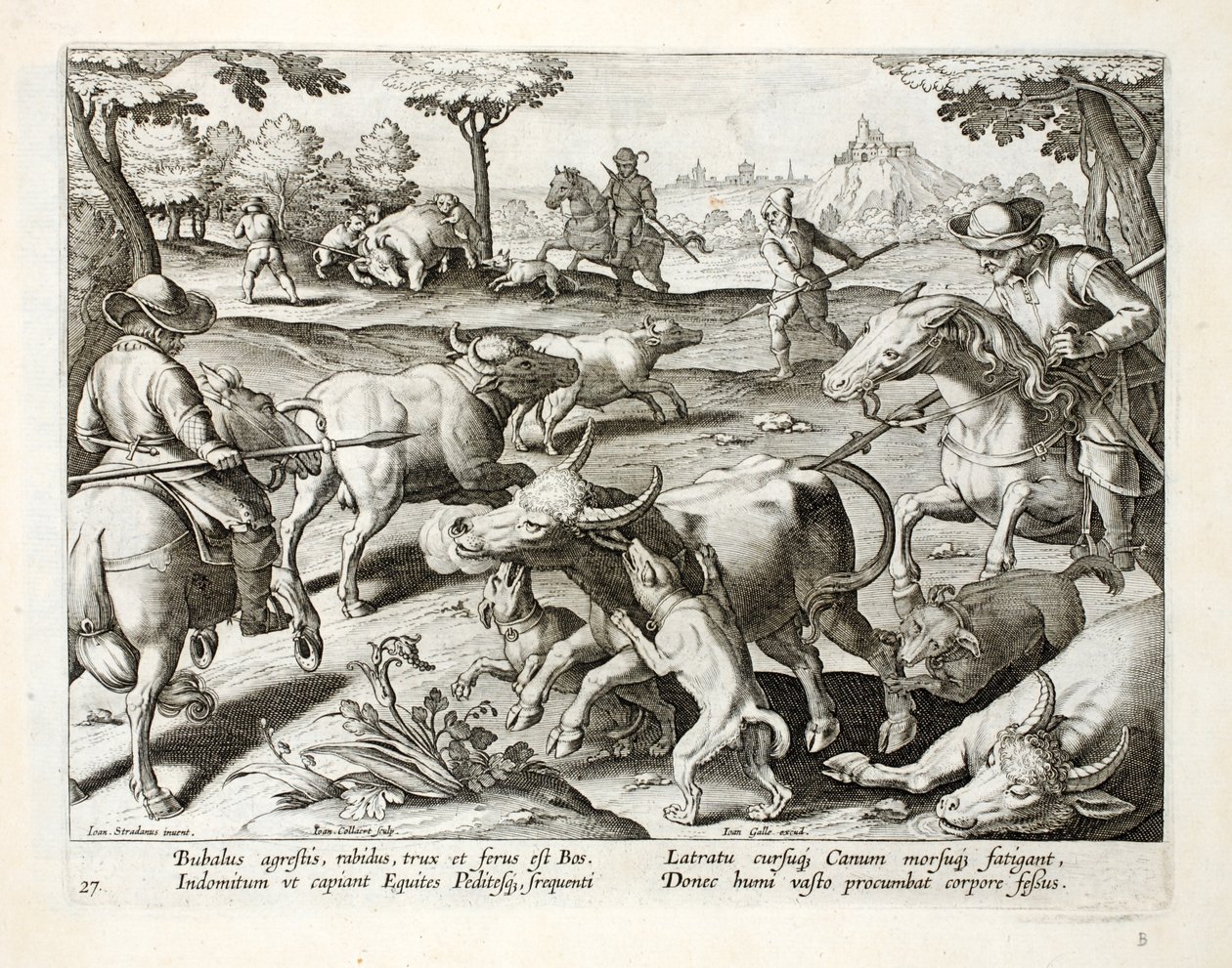 Cazando bueyes salvajes, ilustración de 