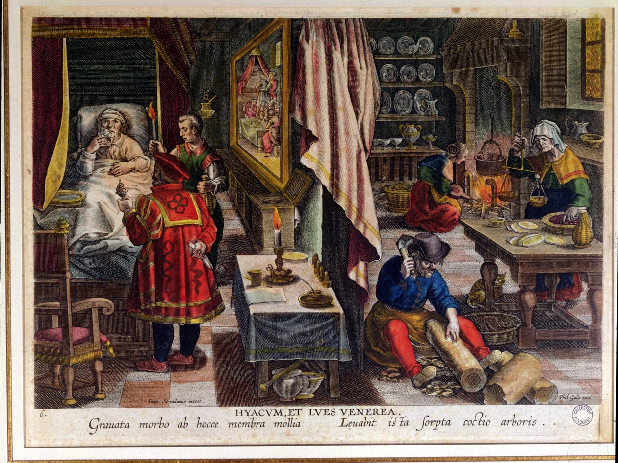 Preparación y Uso del Guayaco para el Tratamiento de la Sífilis, grabado por Philip Galle (1537-1612) c.1570 de Jan van der Straet