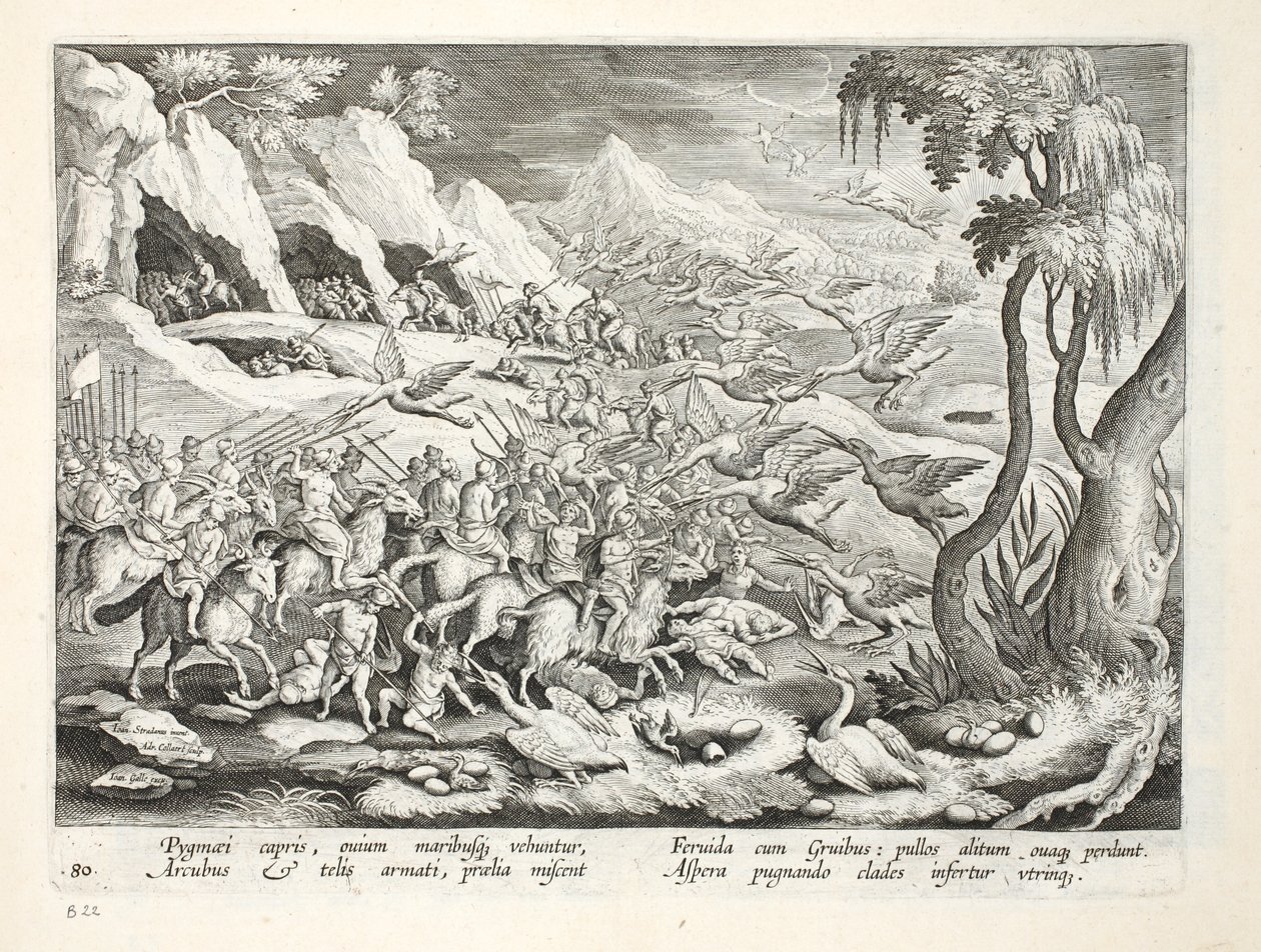 Pigmeos en cabras cazando grullas, ilustración de 
