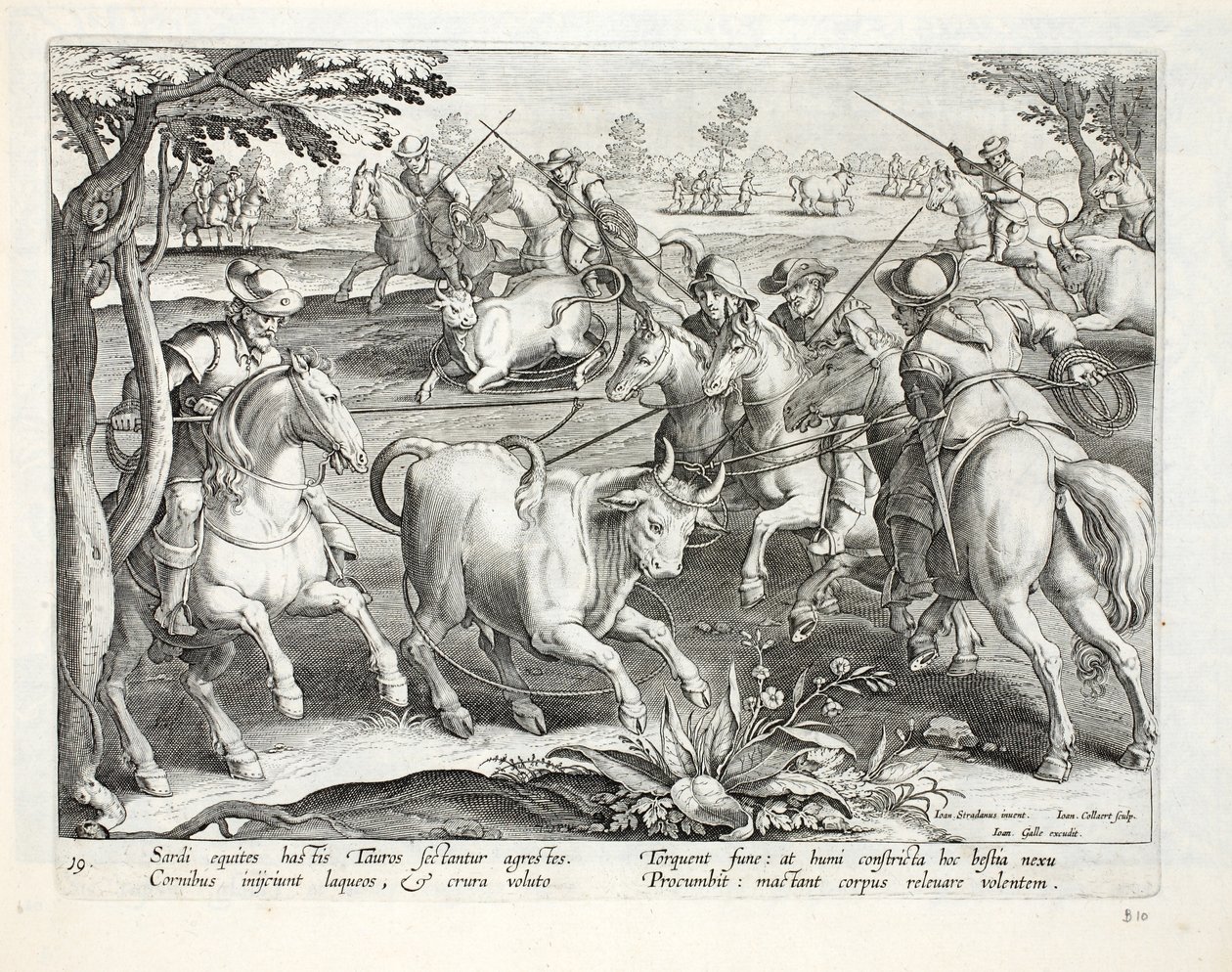 Jinetes sardos capturan toros con cuerdas, ilustración de 