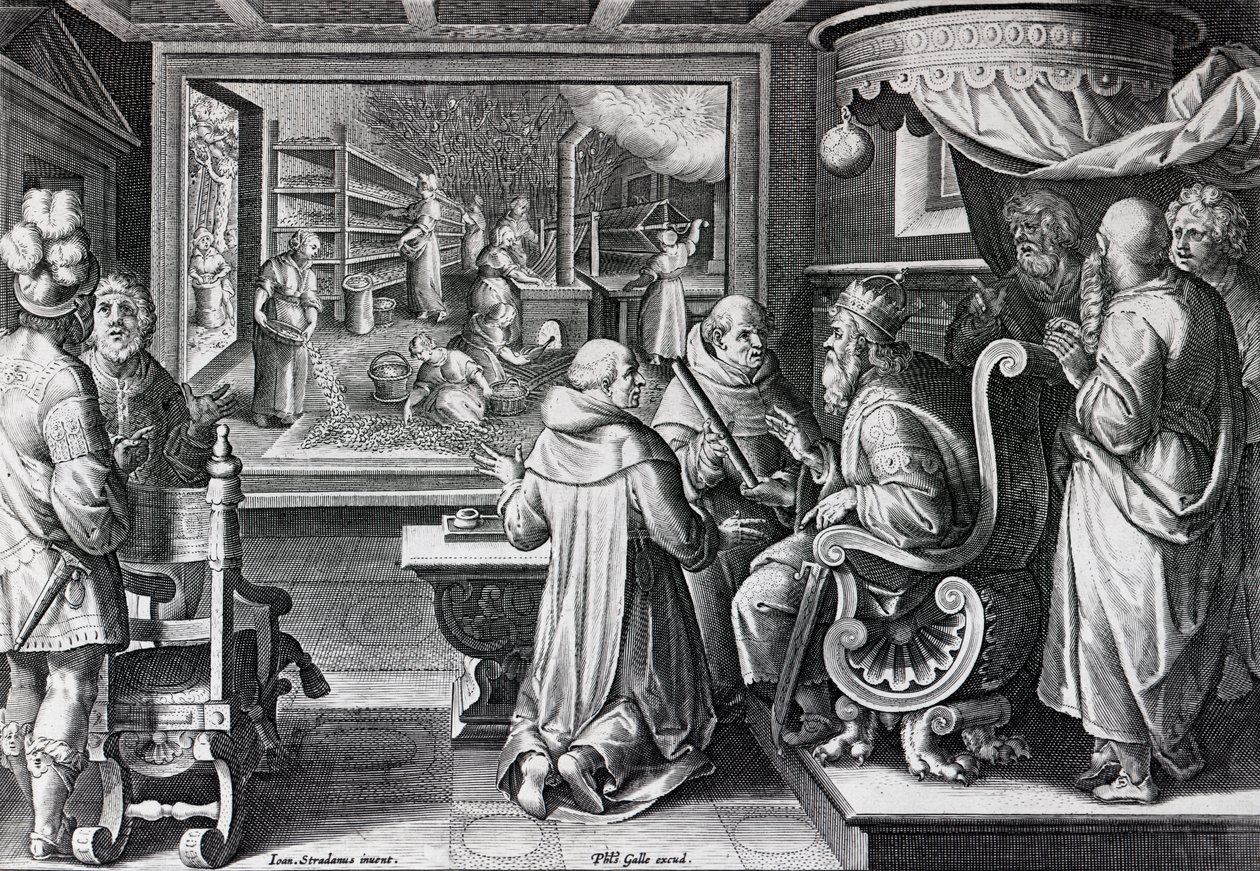 Ser, Sive Sericus Vermis, lámina 9 de 