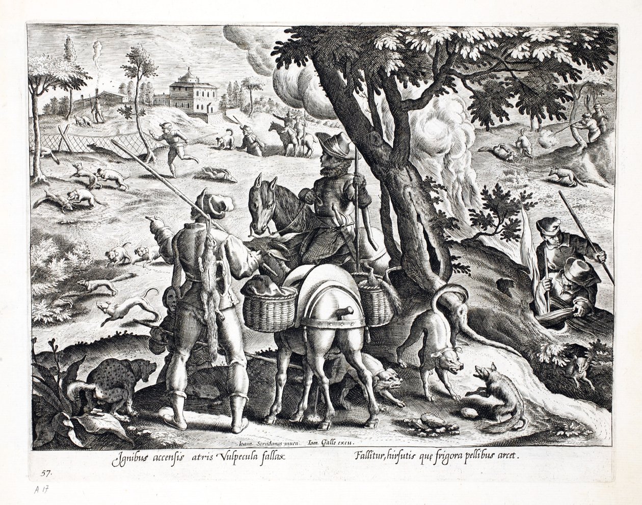 Ahumando zorros negros fuera de sus madrigueras, ilustración de 