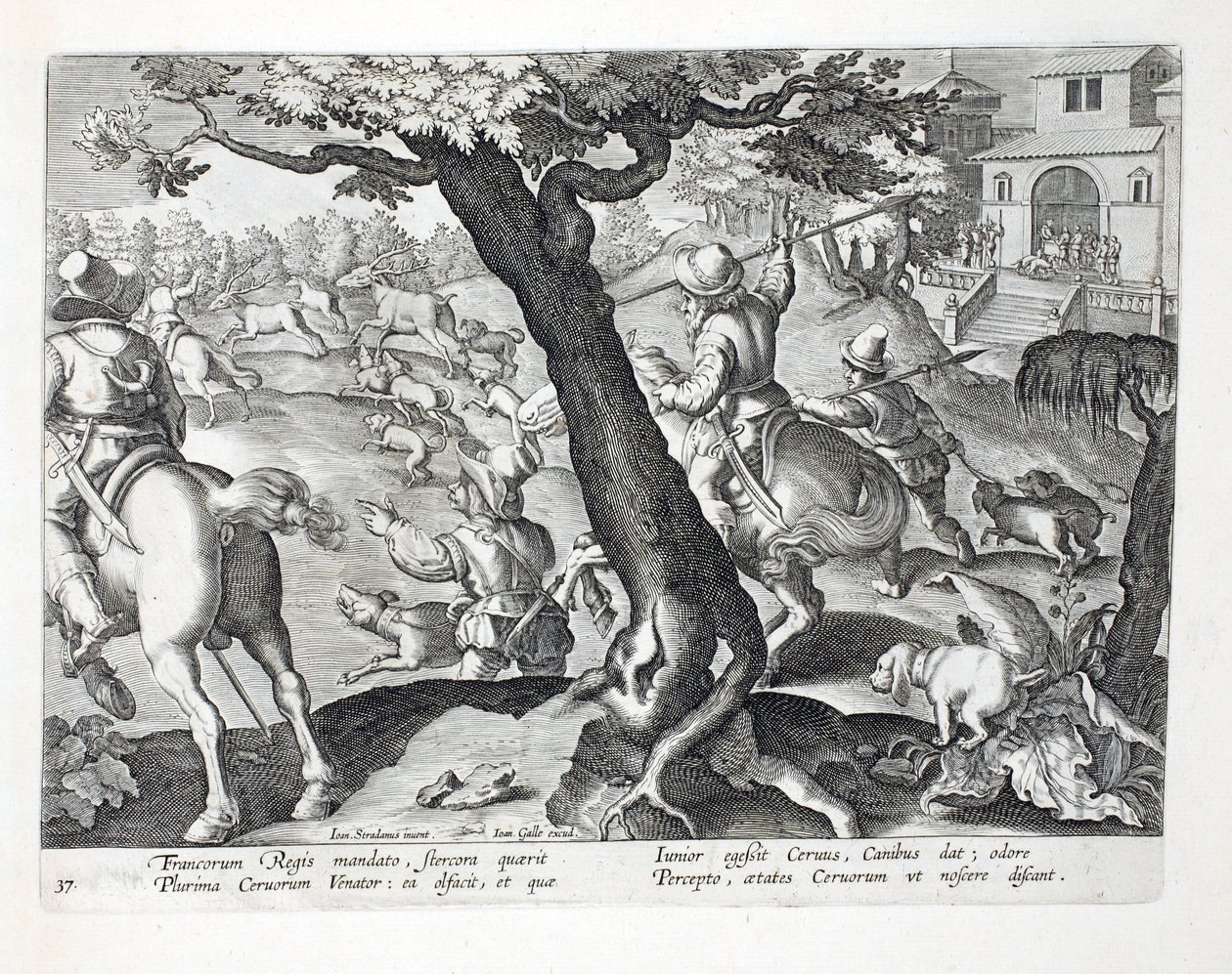 El rey francés cazando ciervos con perros, ilustración de 