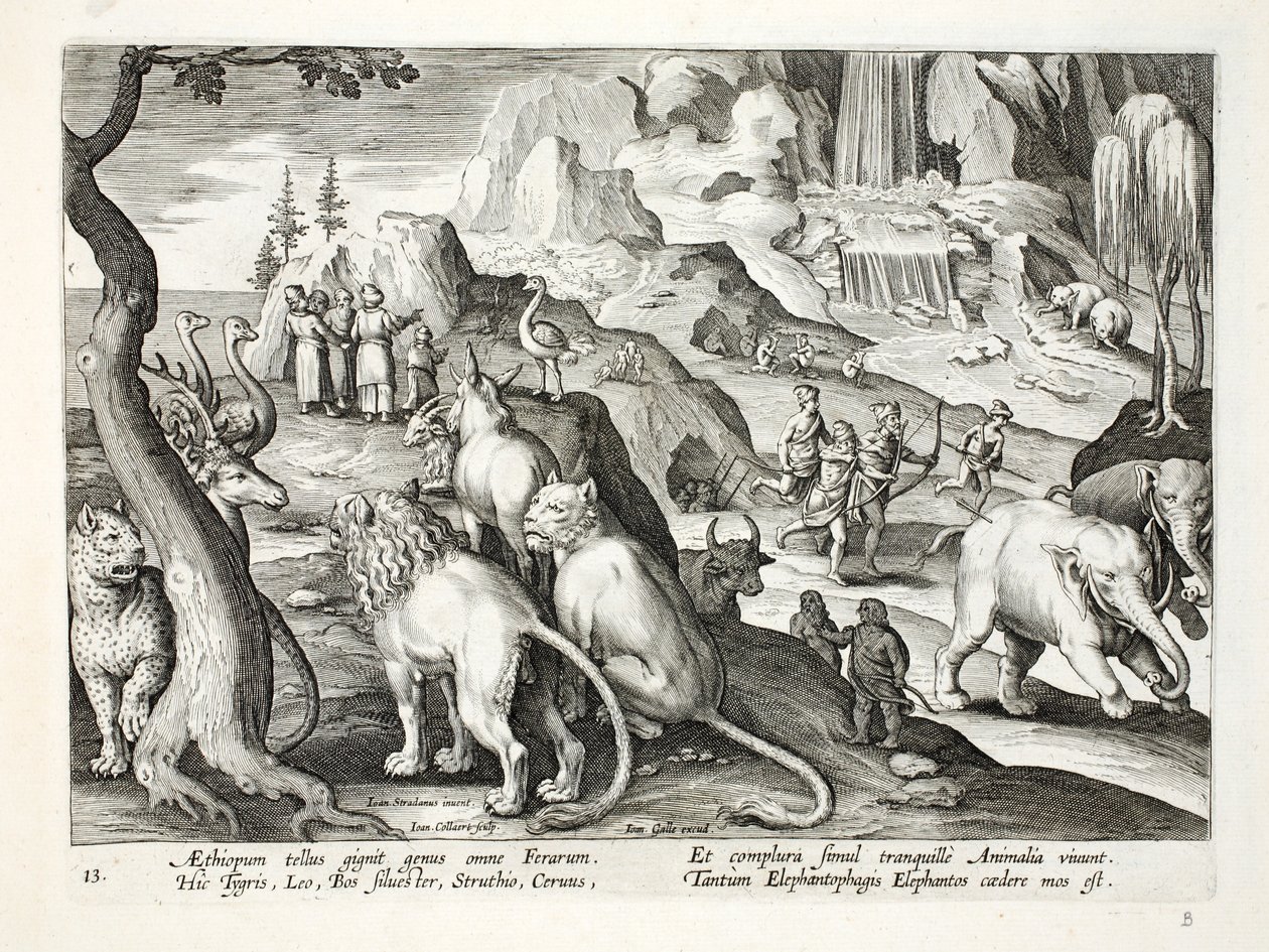 La región de Etiopía produce todo tipo de bestias - tigres, leones, bueyes salvajes, avestruces, ciervos y otros animales viven juntos en paz, es costumbre cazar elefantes, ilustración de 