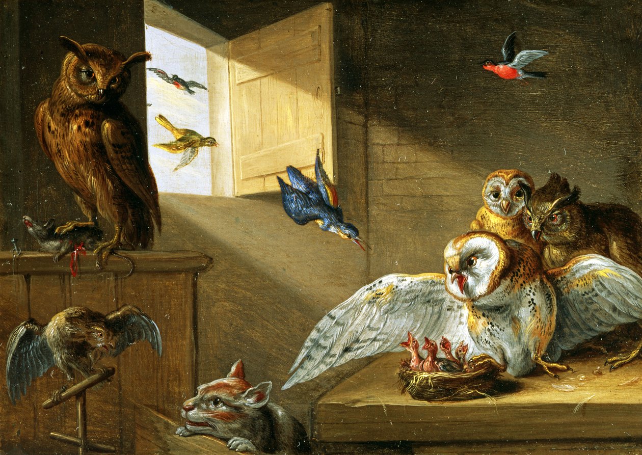 Una familia de búhos, otras aves y un gato de Jan van Kessel the Elder
