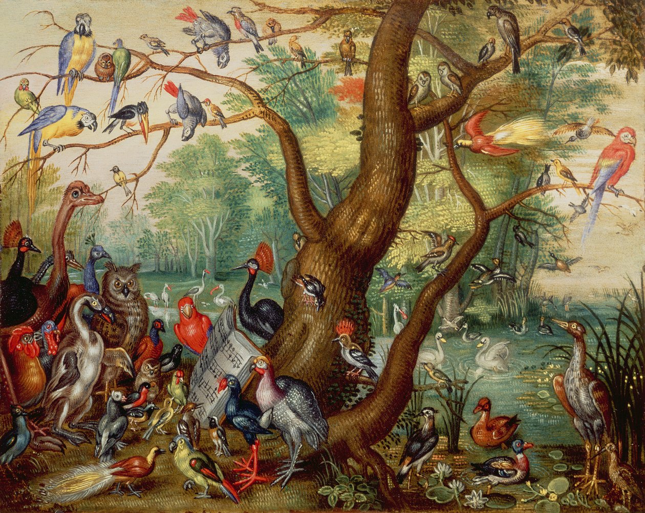 Concierto de Pájaros de Jan van Kessel the Elder