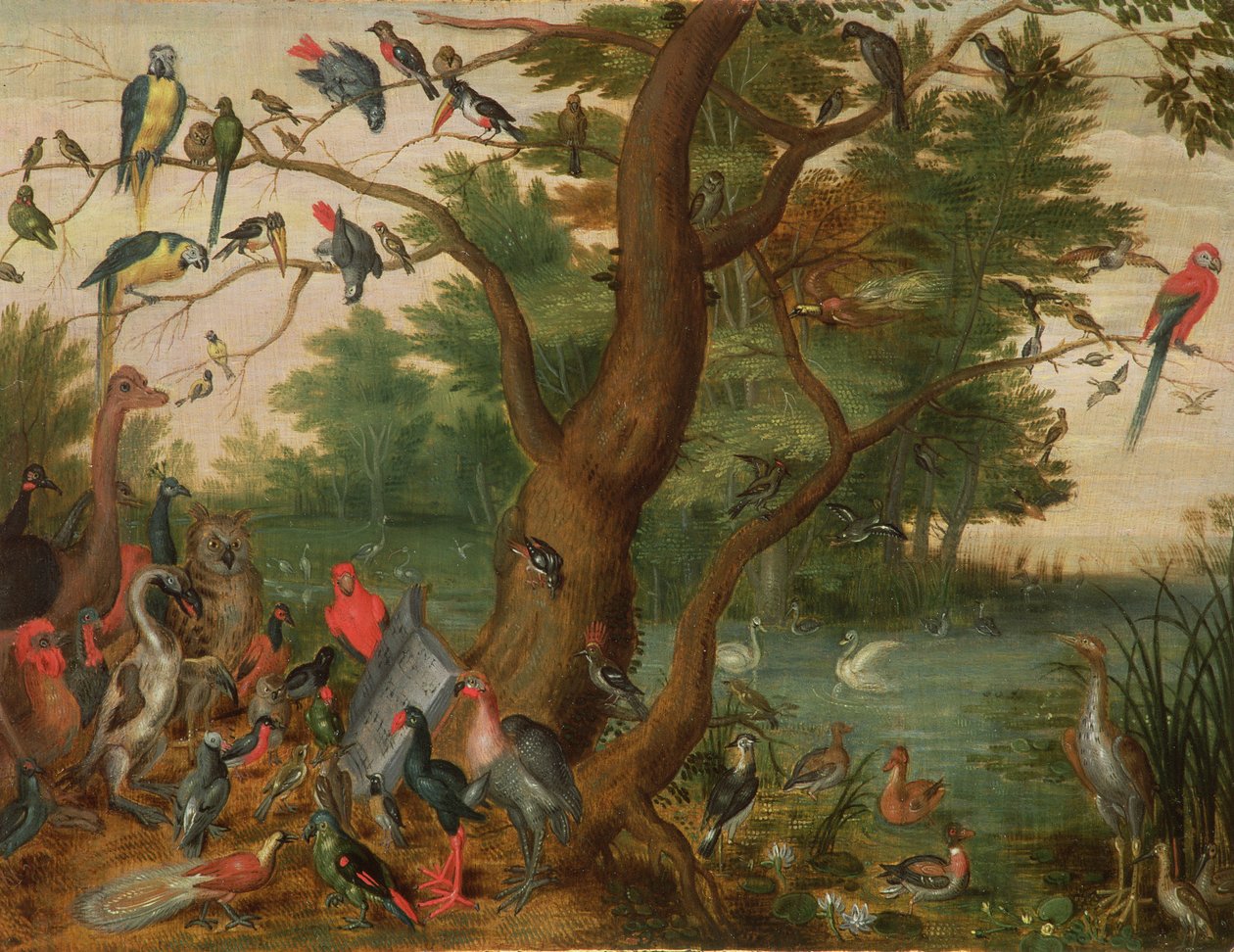 Concierto de pájaros de Jan van Kessel the Elder