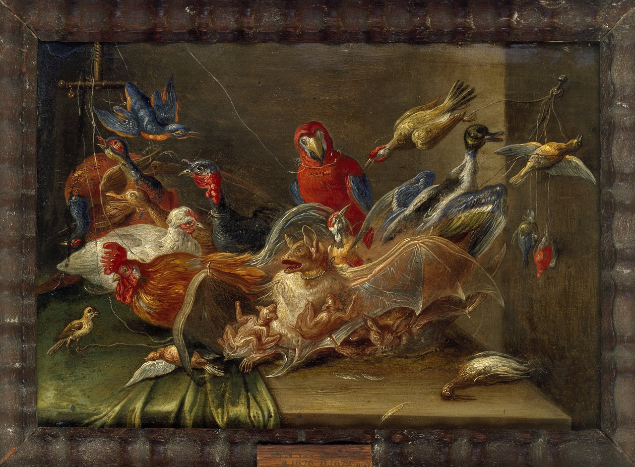 Composición Decorativa de Naturaleza Muerta con Pájaros y Dos Murciélagos de Jan van Kessel the Elder