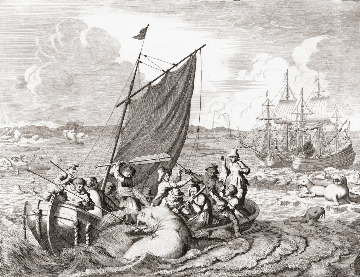 Cazadoras de morsas en el siglo XVI (grabado) de Jan (after) Luyken
