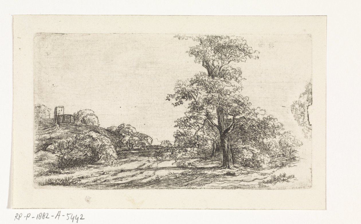paisaje con un árbol de Jan Andries Töpfer