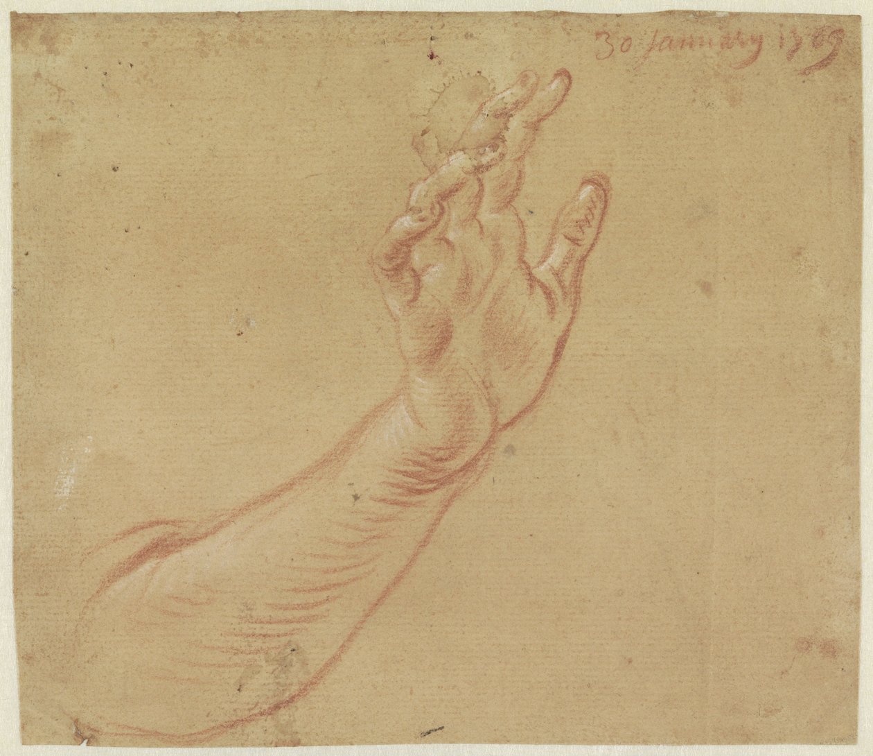 Estudio de un brazo derecho de Jan Anton Garemyn