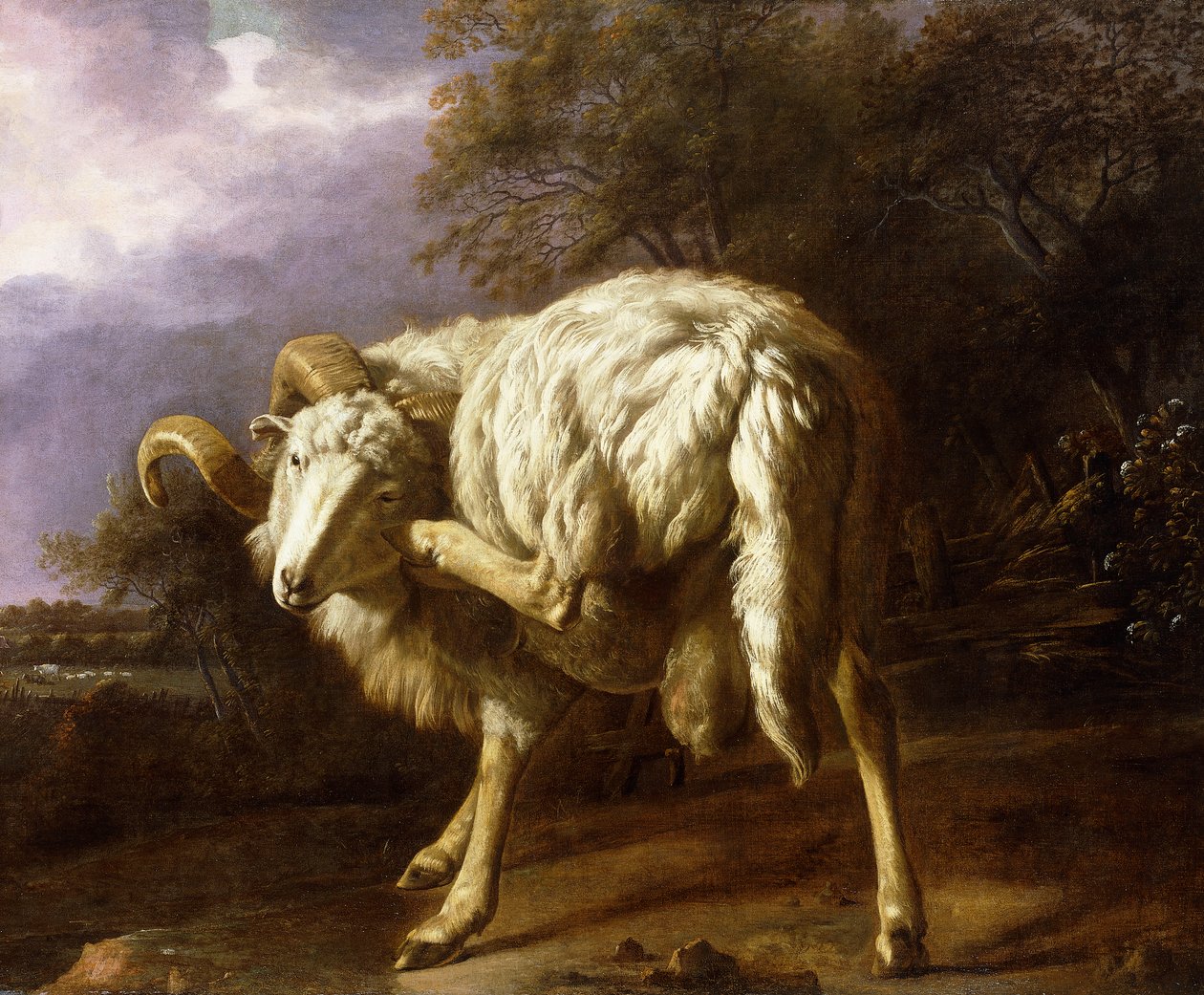 Un carnero en un paisaje boscoso de Jan Baptist Weenix