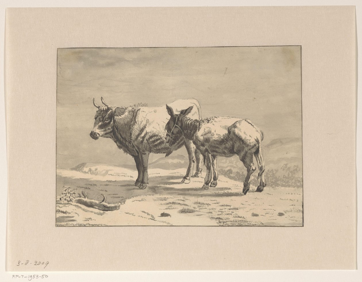 Un toro y un burro de Jan Bedijs Tom