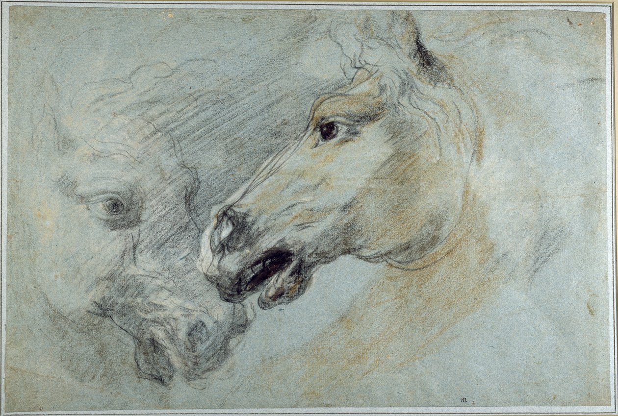 Dos estudios de la cabeza de un caballo de Jan Boeckhorst