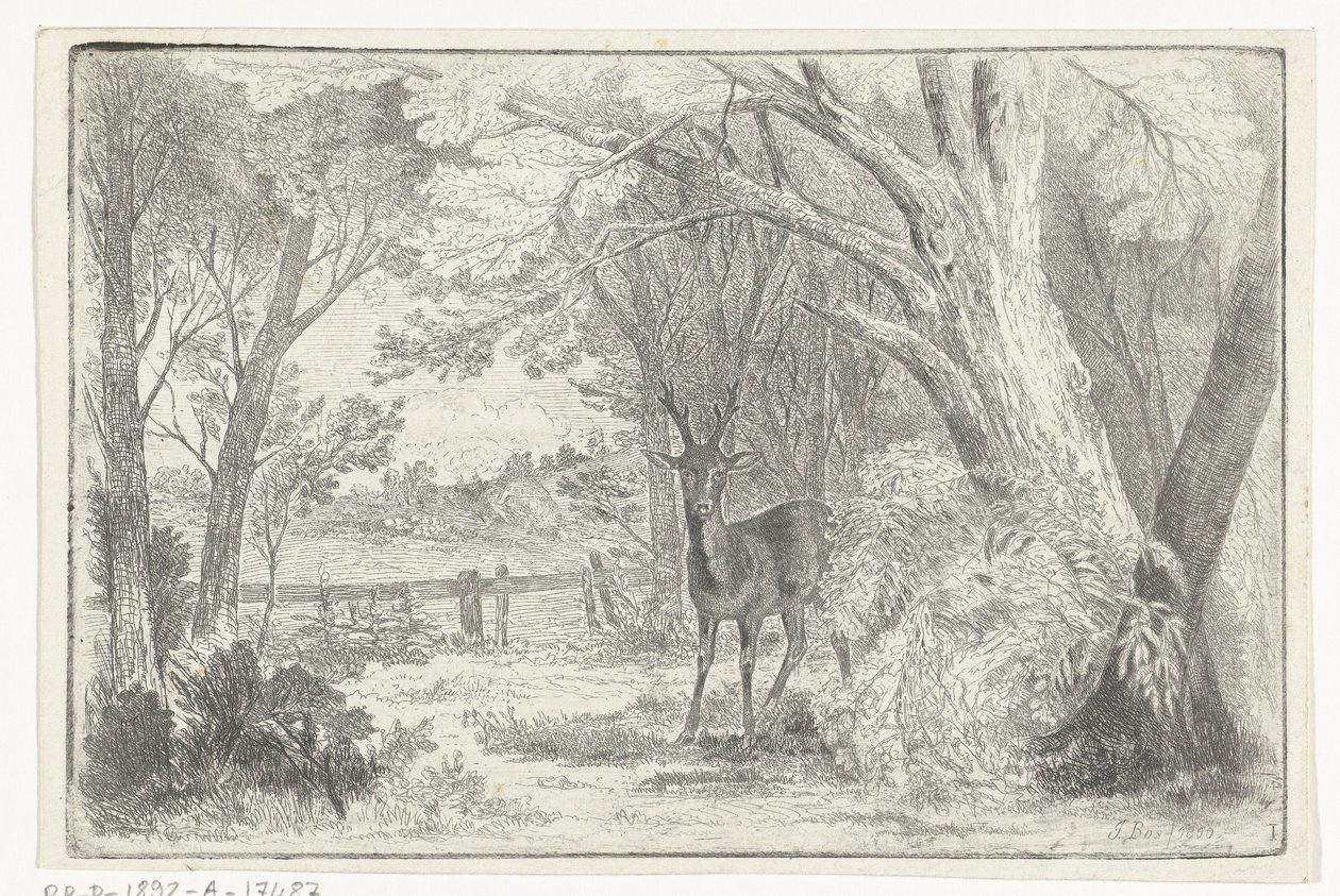 Parque paisaje con ciervos de Jan Bos Wz.