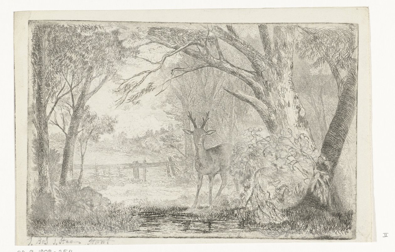 Parque paisaje con ciervos de Jan Bos Wz.