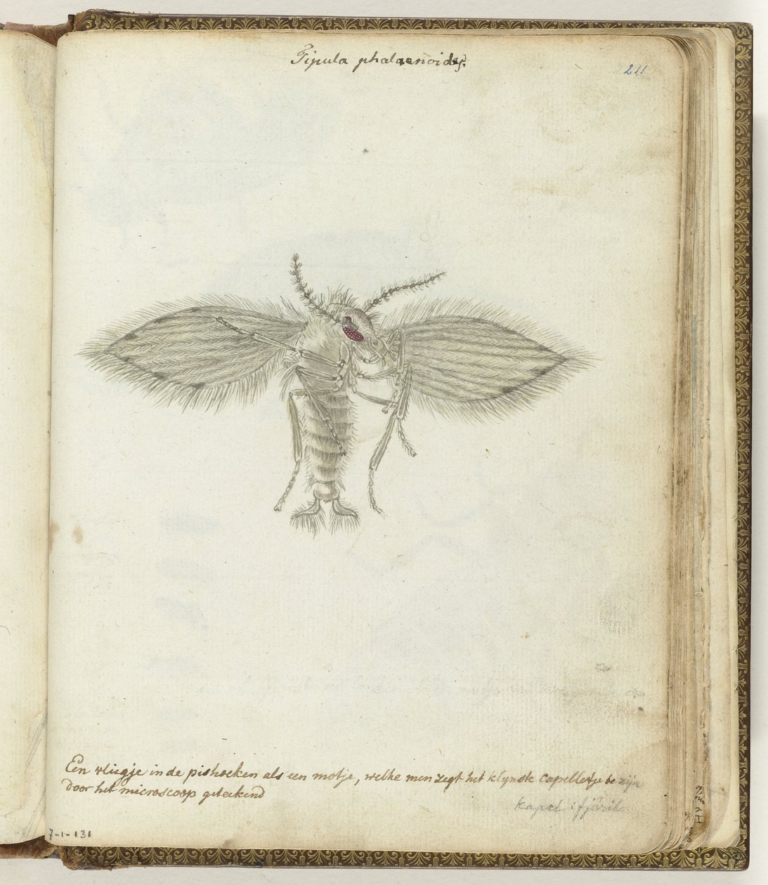 volar de Jan Brandes