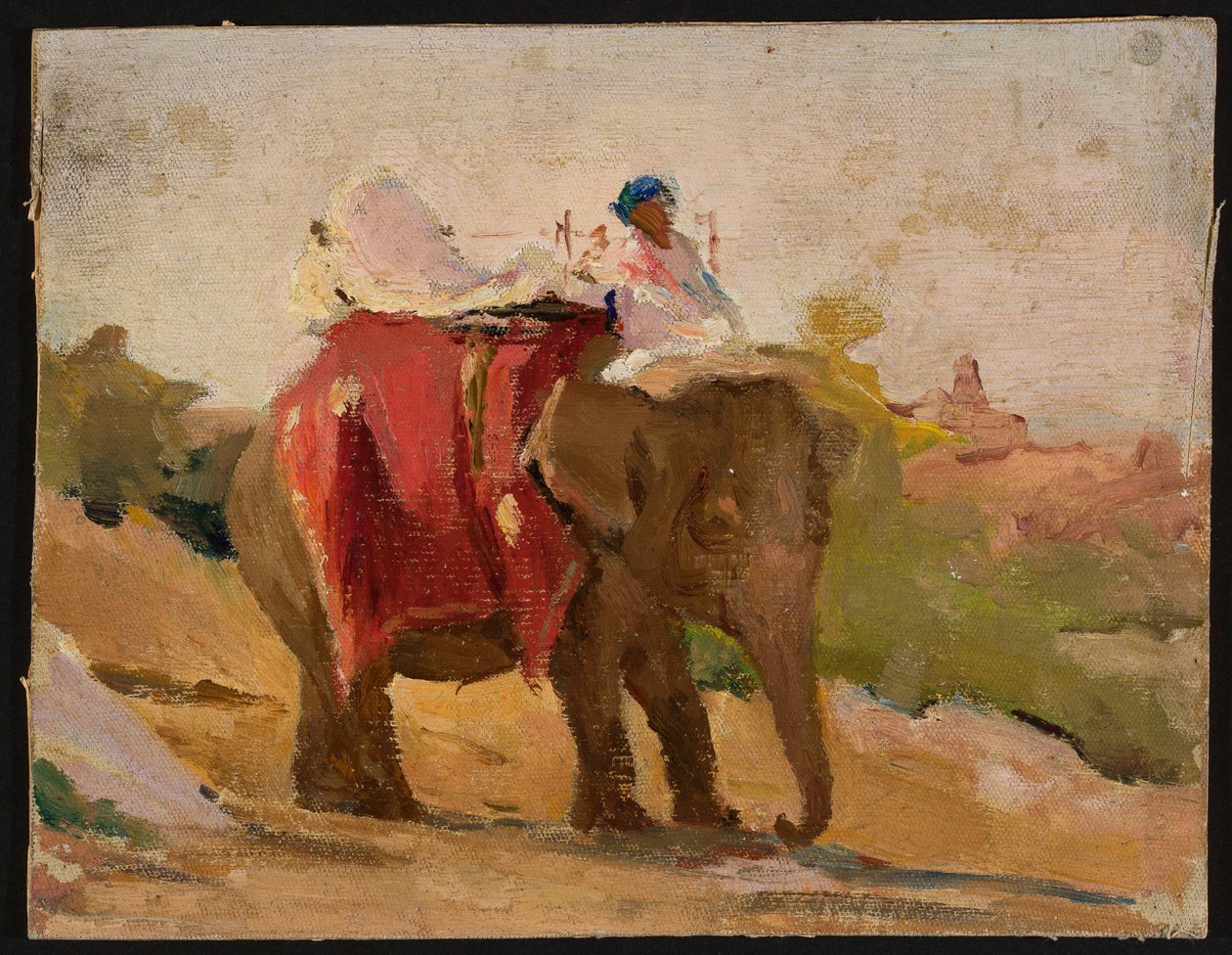 Chitorgarh: mi elefante. De mi viaje a la India de Jan Ciągliński