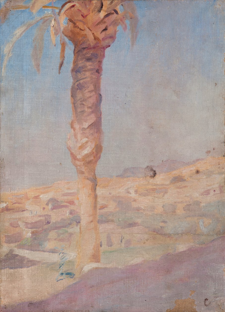 España (Crevillente) de Jan Ciągliński