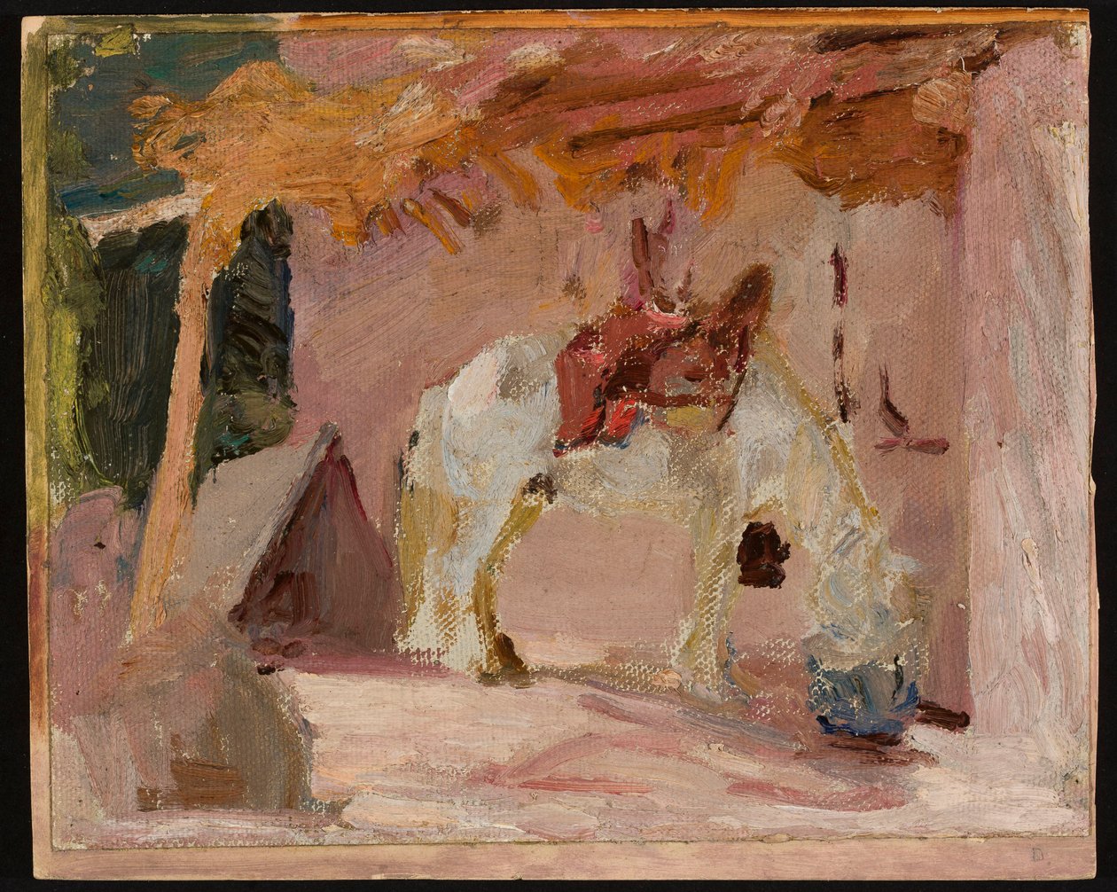 Pferd. Aus der Reise nach Turkestan de Jan Ciągliński