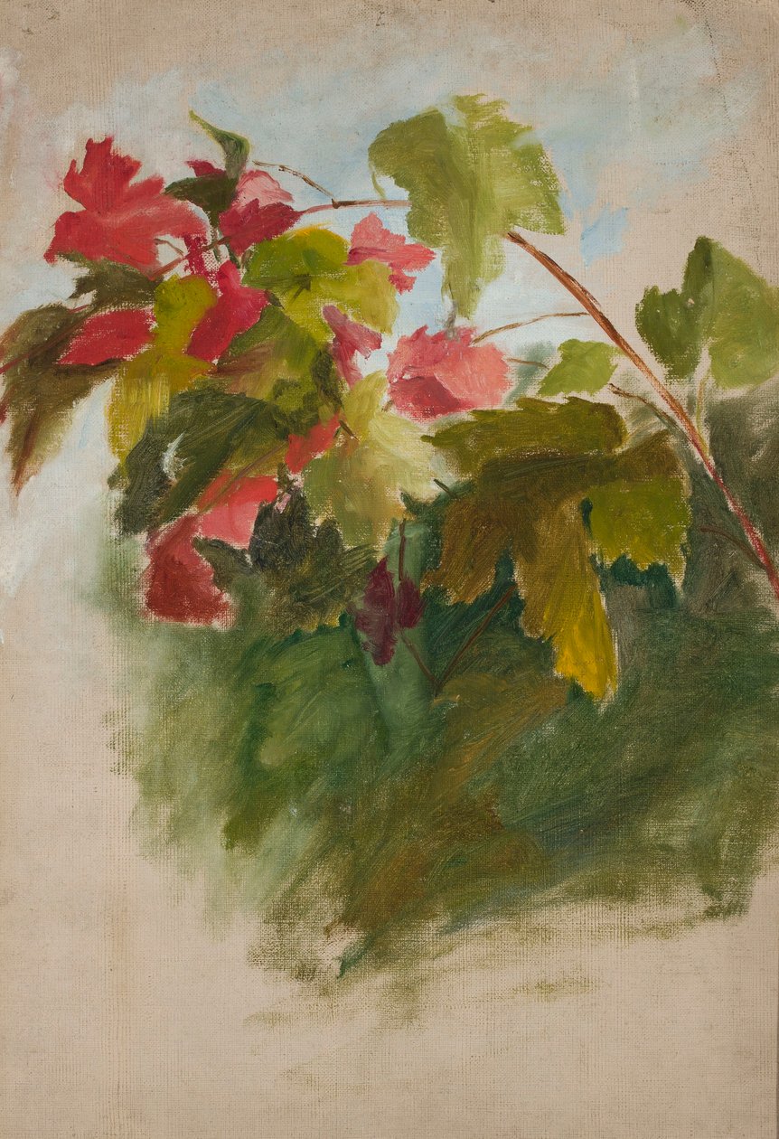 Hojas de parra de Jan Ciągliński
