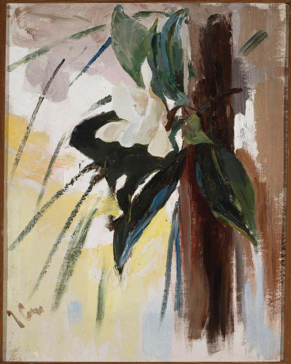 Magnolia de Jan Ciągliński