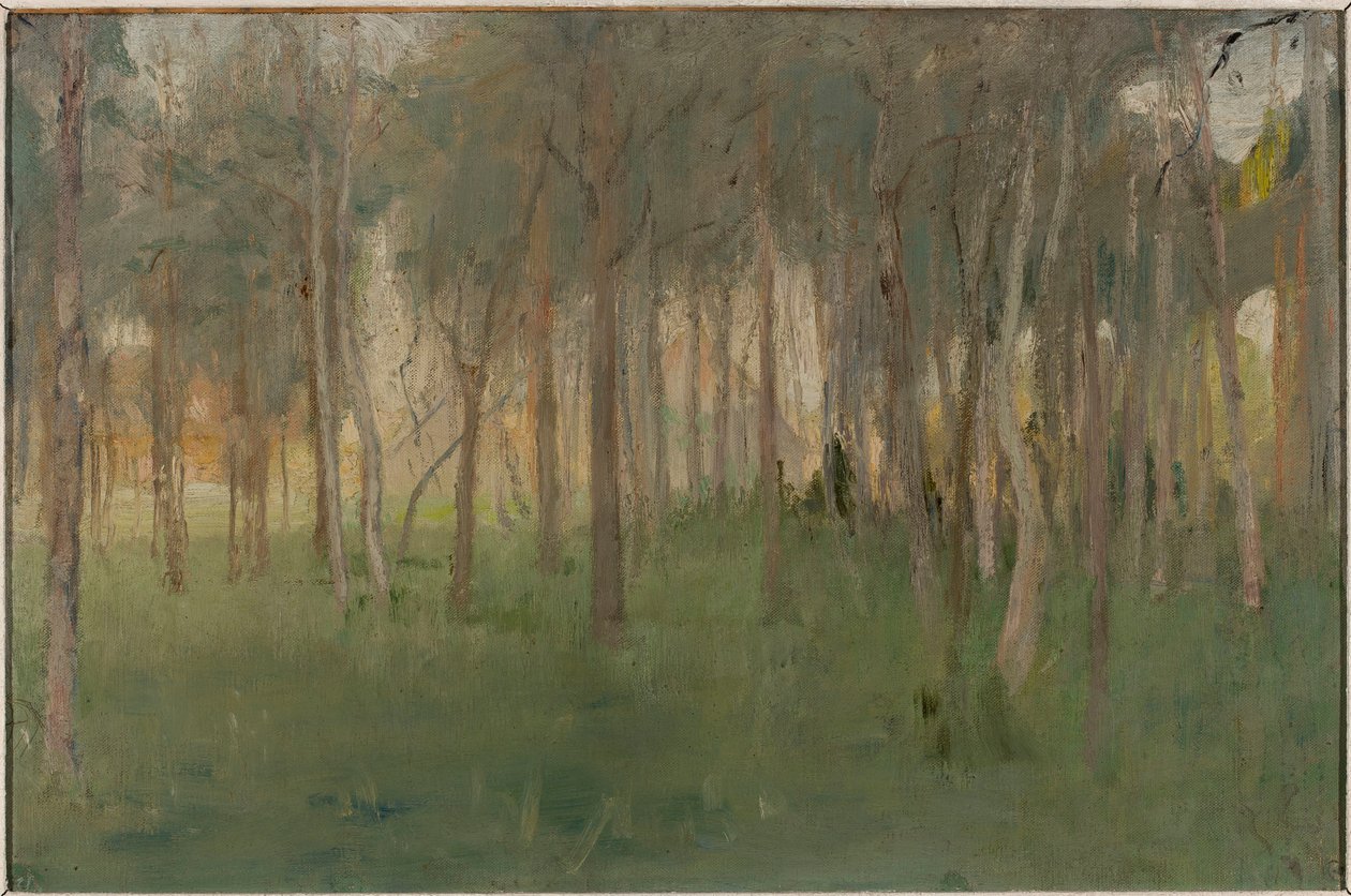 Marino - Bosquecillo de Jan Ciągliński