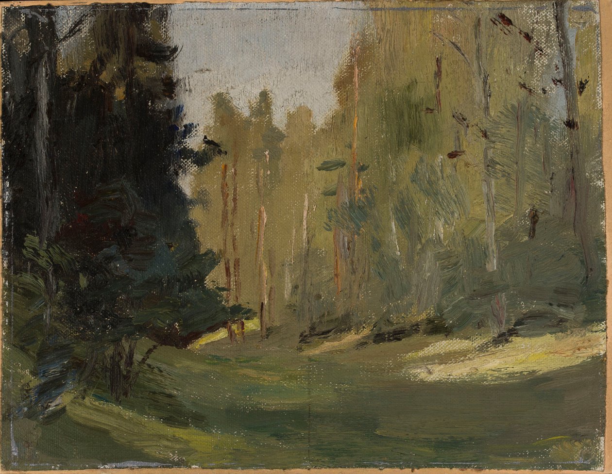 Mariino - Claro en el bosque de Jan Ciągliński