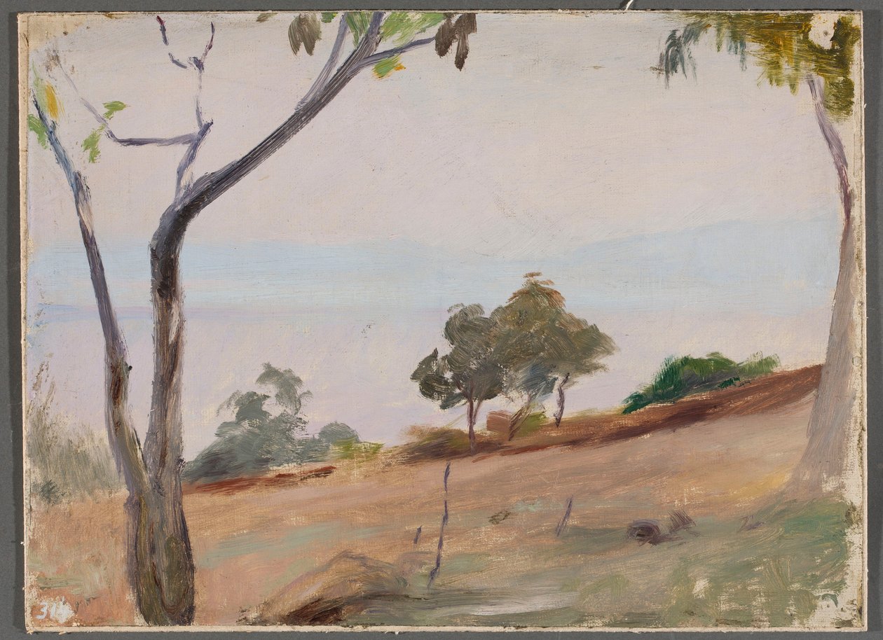Paisaje con árboles. De un viaje a Constantinopla de Jan Ciągliński