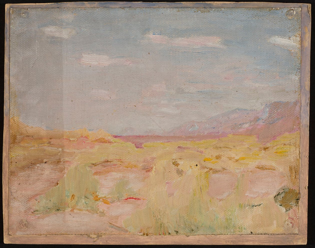 Estepa (región transcaspiana). De un viaje a Turkestán de Jan Ciągliński