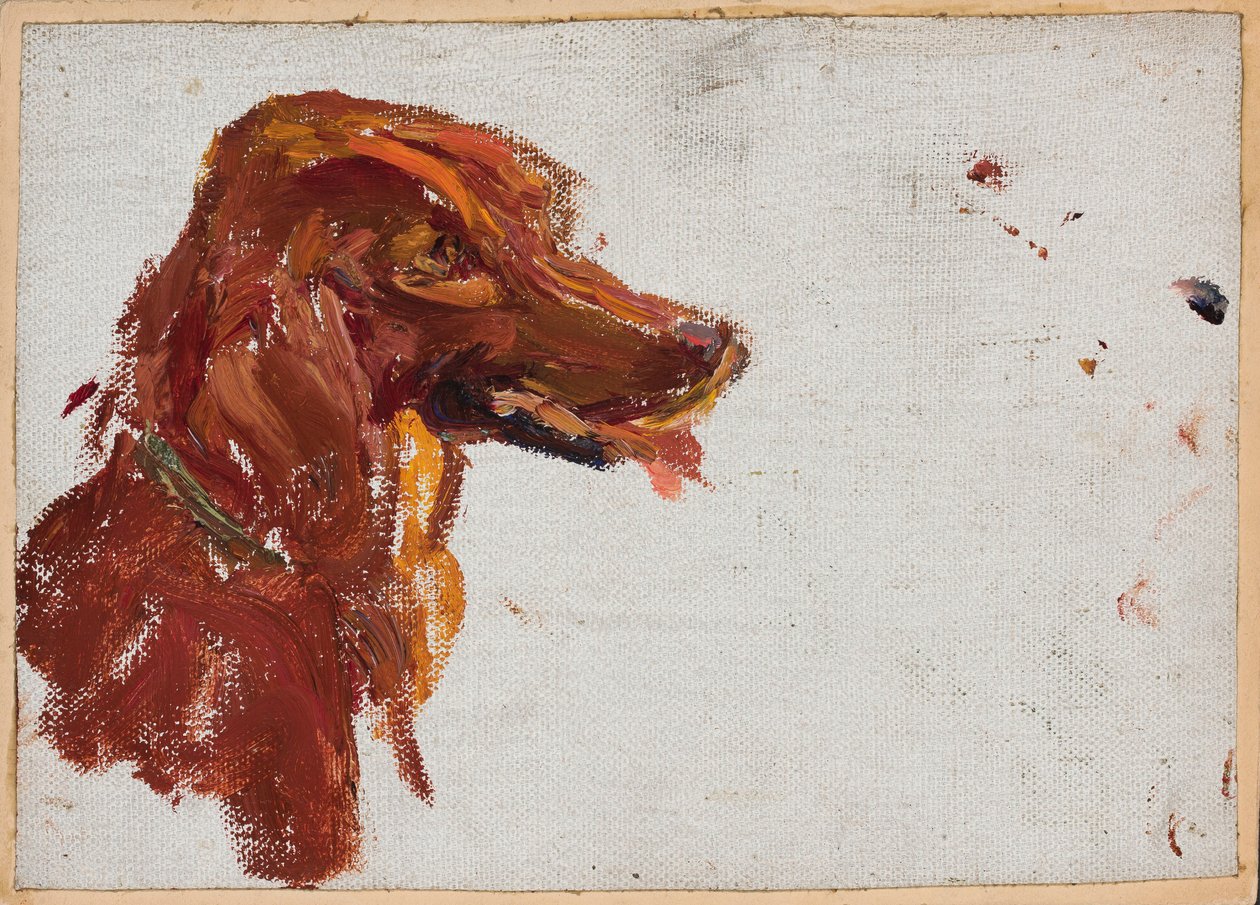 Estudio de la cabeza de un perro, del padre Golitsyn. Marjino de Jan Ciągliński
