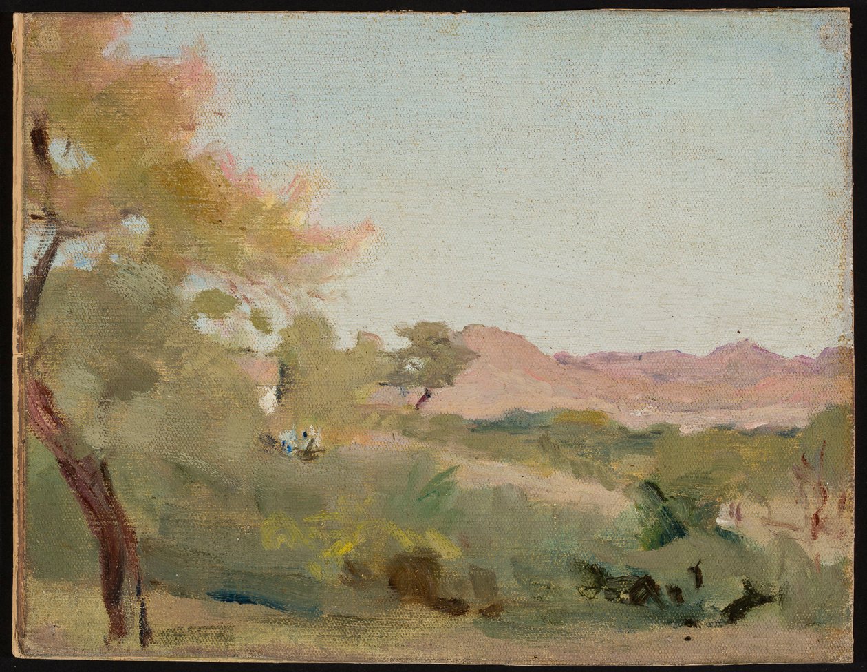 Udaipur - paisaje indio. De un viaje a la India de Jan Ciągliński