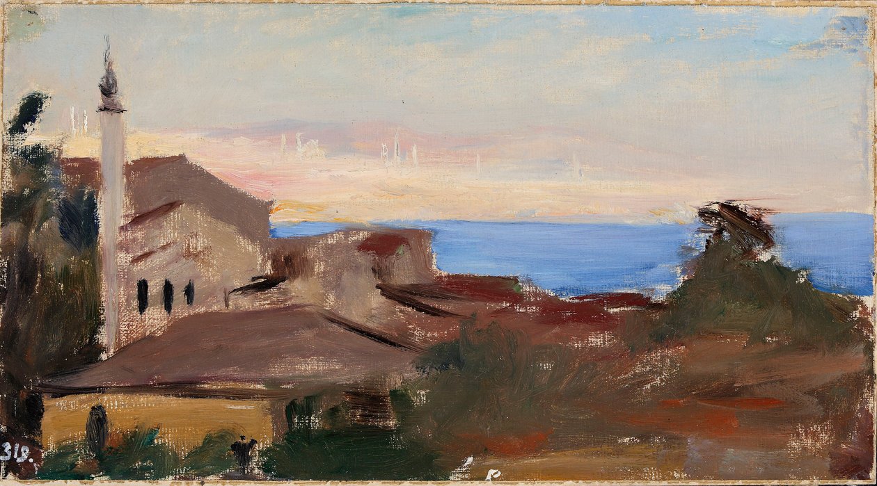 Vista de la ciudad. De un viaje a Constantinopla de Jan Ciągliński