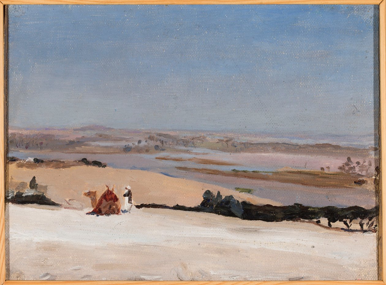 Vista desde la pirámide. De un viaje a Egipto de Jan Ciągliński