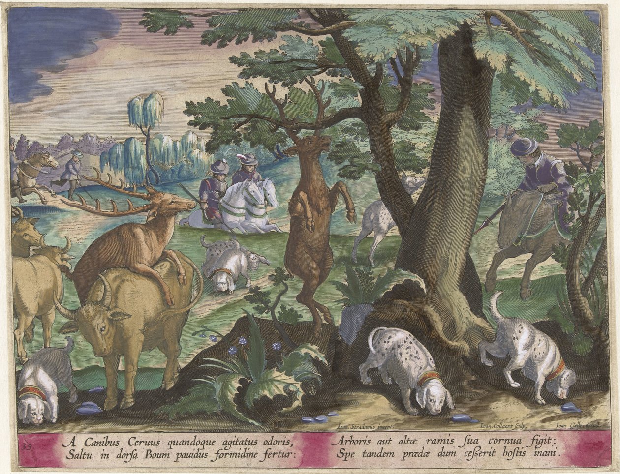 Hertenjacht conoció a honden Jachttaferelen (título de la serie) La caza de animales salvajes, aves y peces en el Bestiario (título de la serie) de Jan Collaert
