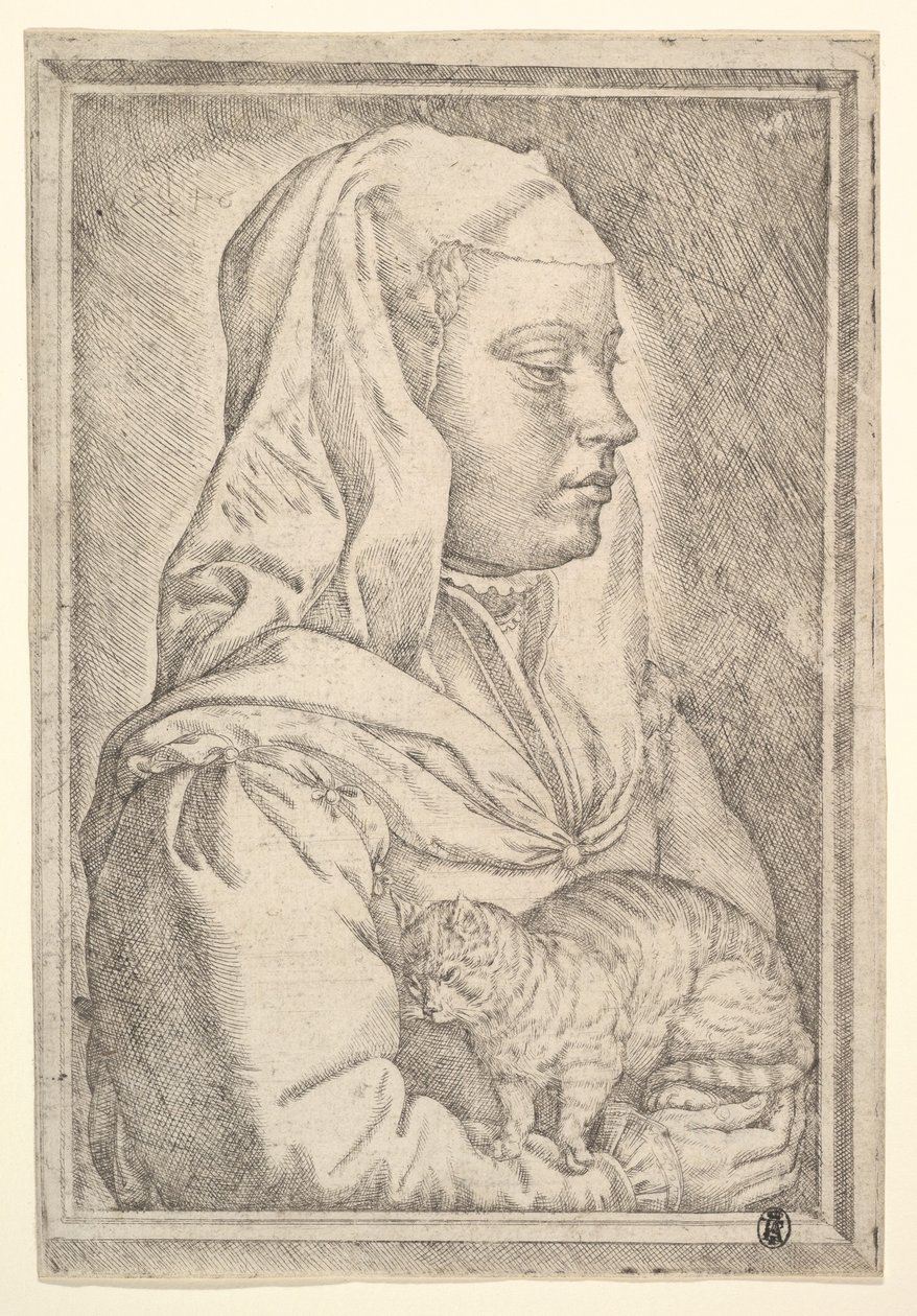 Niña con un gato, 1546 de Jan Cornelisz Vermeyen