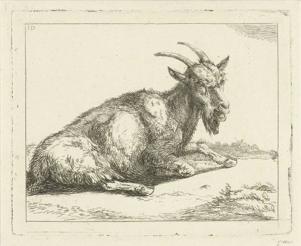 Cabra de Jan Dasveldt