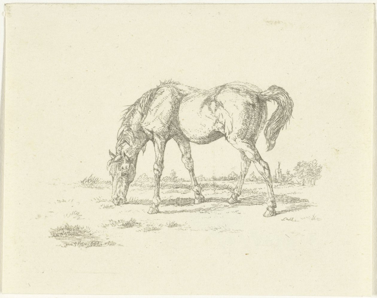Caballo pastando a la derecha de Jan Dasveldt