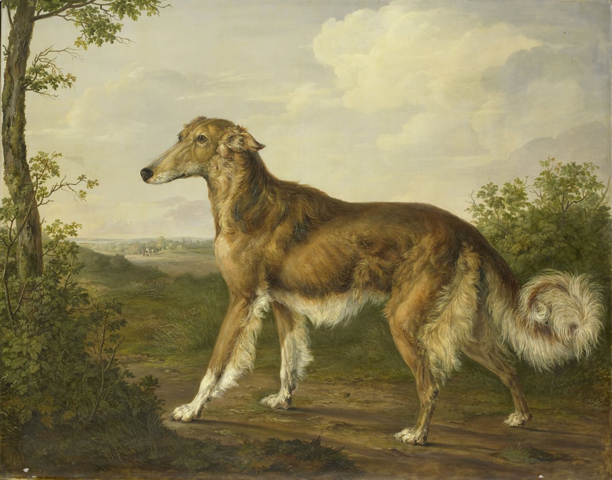 Galgo siberiano, c.1825 (óleo sobre lienzo) de Jan Dasveldt