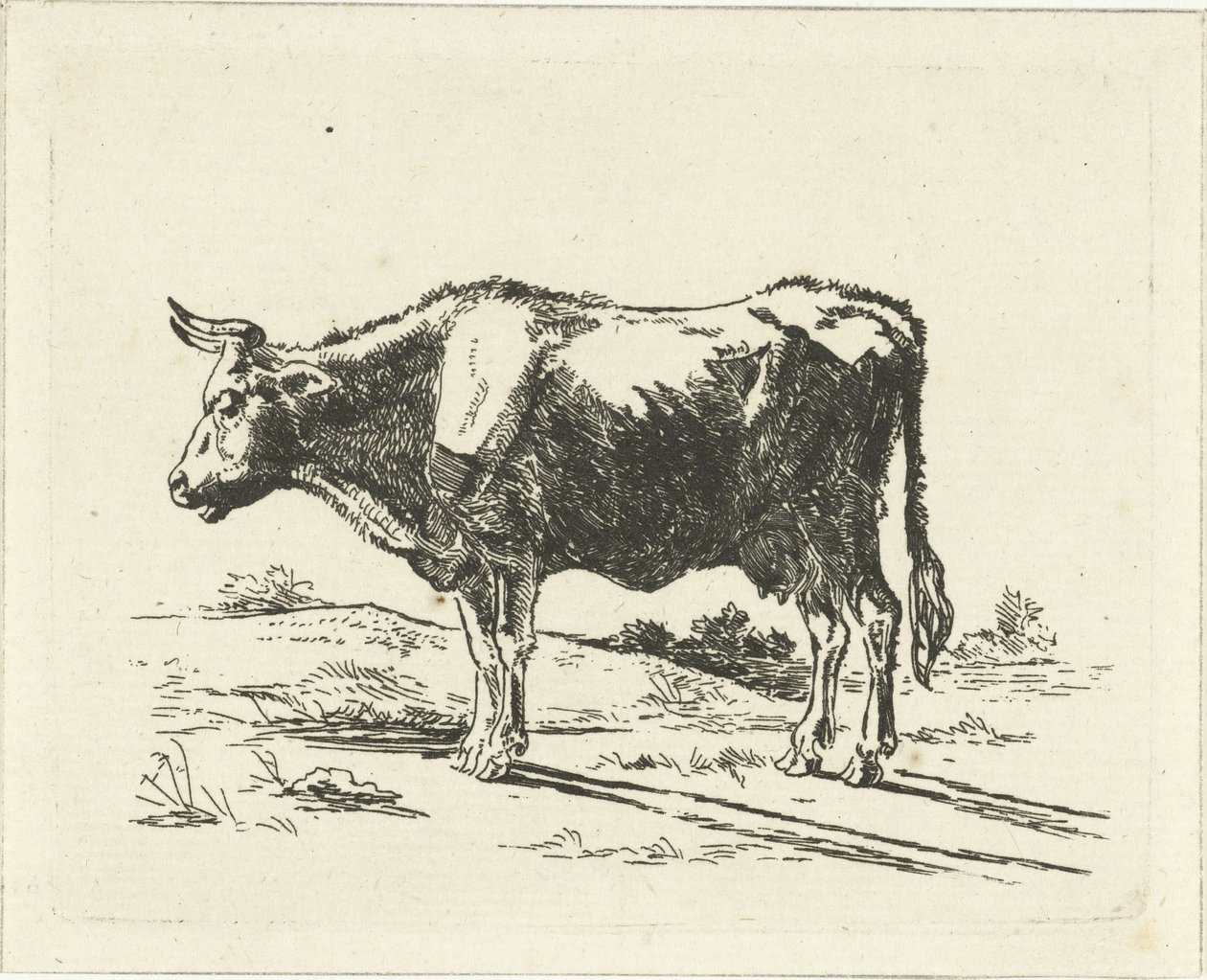 vaca de pie de Jan Dasveldt