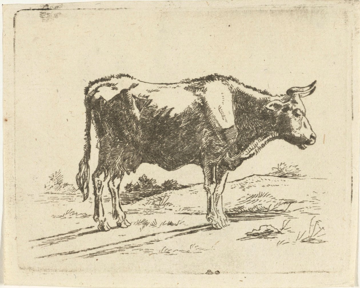 vaca de pie de Jan Dasveldt
