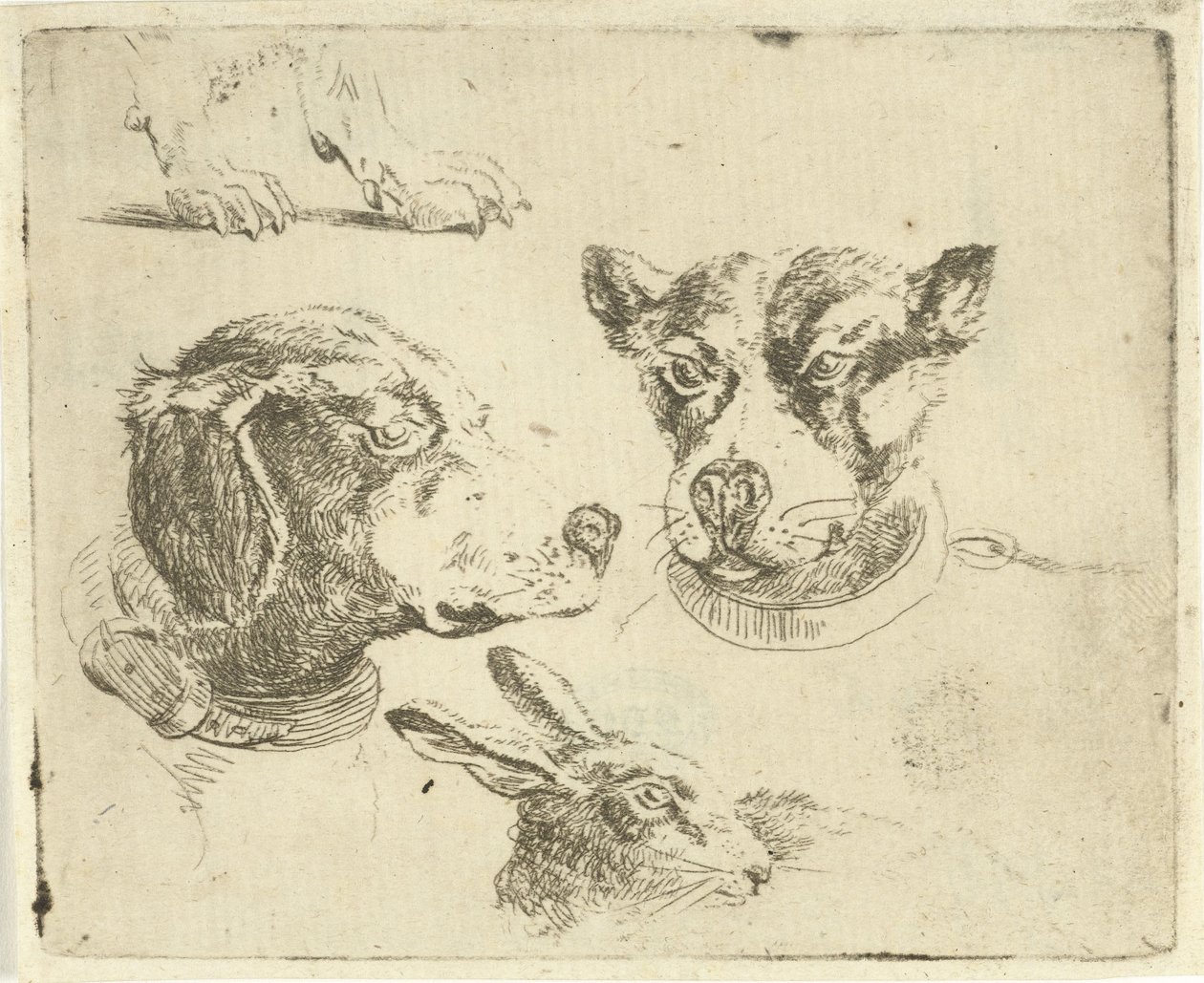 Ficha de estudio con dos cabezas de perro, patas de perro y cabeza de liebre de Jan Dasveldt