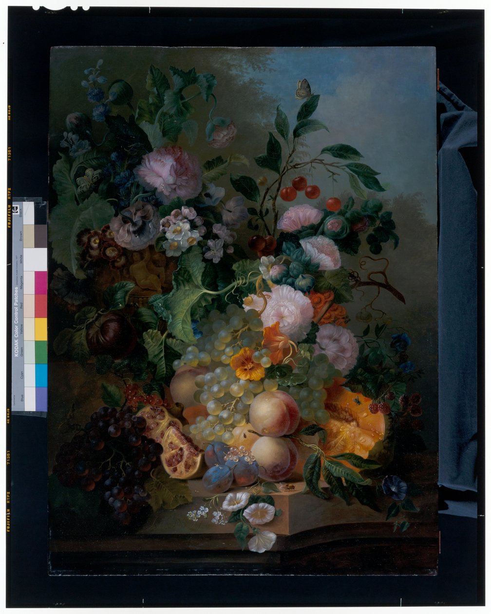 Naturaleza muerta con flores, peras, uvas, cerezas, un melón y mariposas de Jan Evert Morel