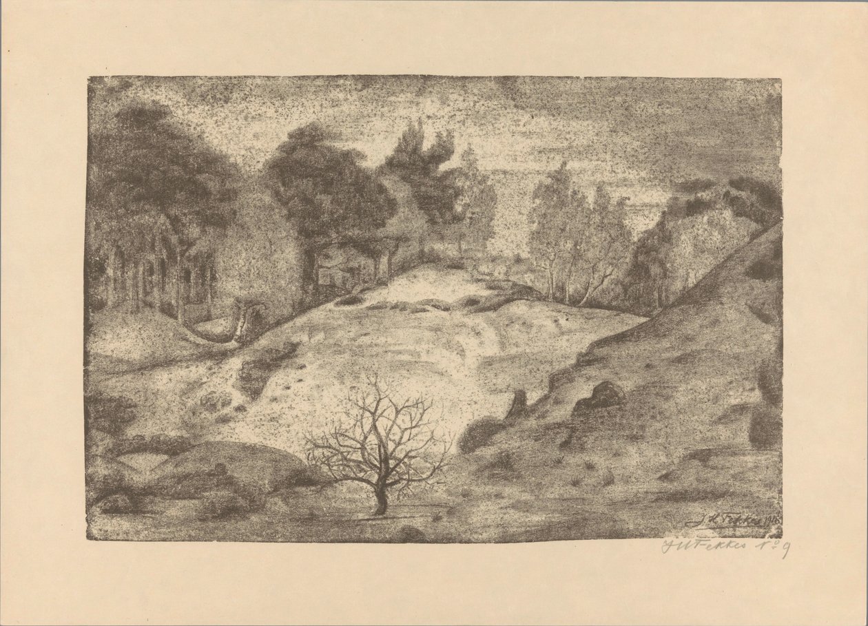 Heath cerca de Laren de Jan Fekkes (signed by artist)
