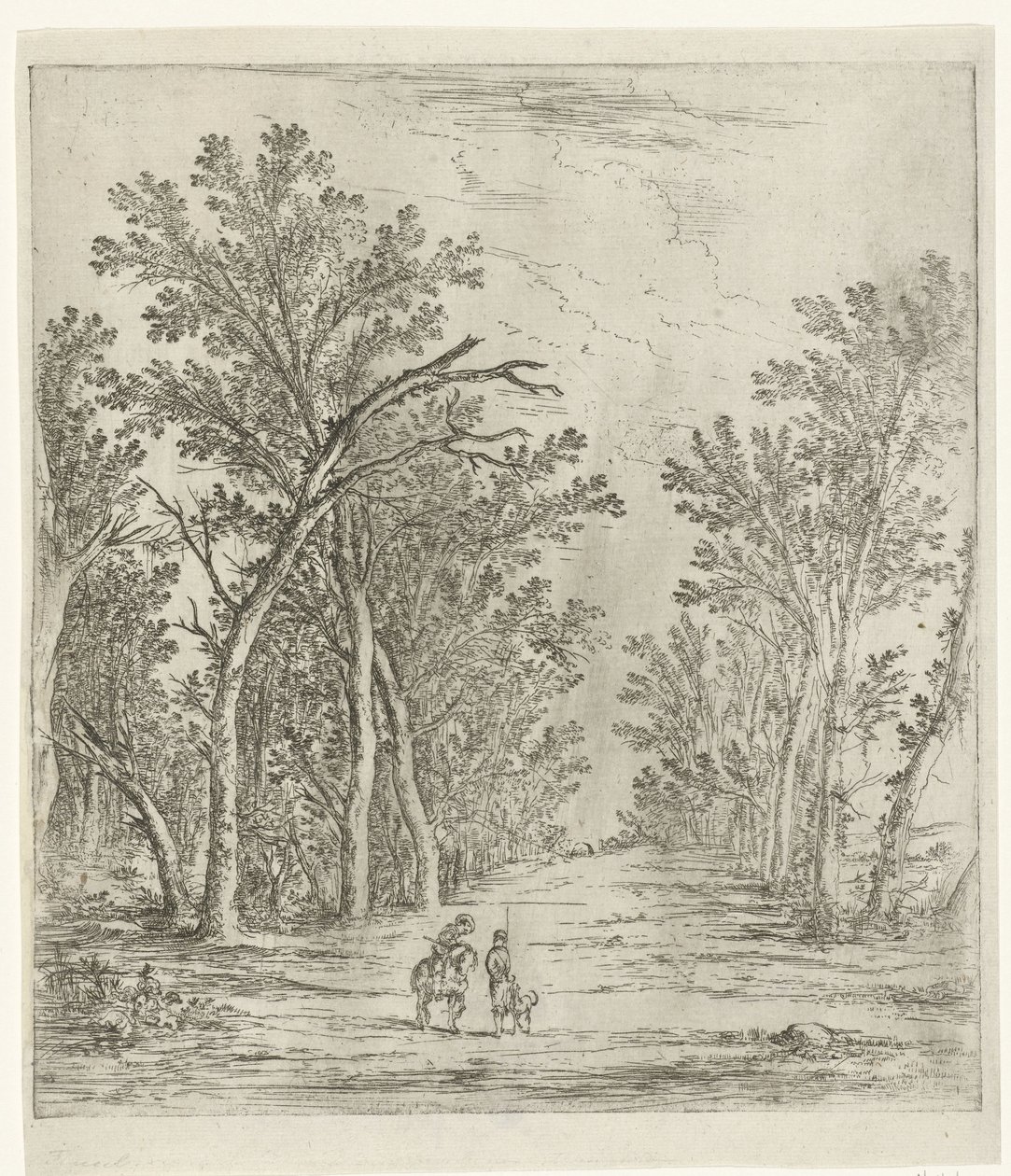 camino del bosque de Jan Fouceel