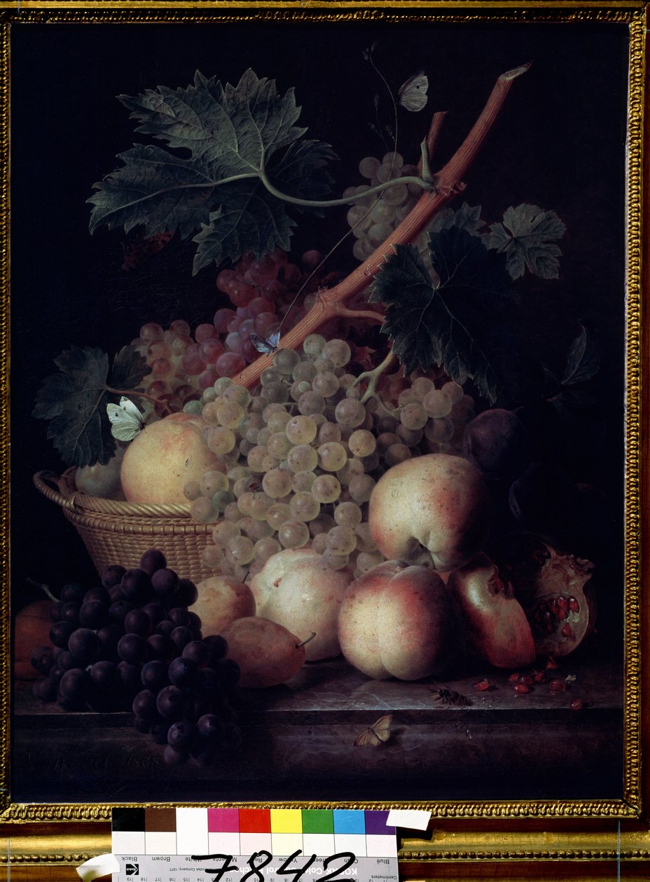""Frutas"" Bodegón de melocotones, uvas, peras y granadas con mariposas y una avispa. Pintura de Jean Francois van Dael (1764-1840) 1808 Museo Pushkin, Moscú de Jan Frans van Dael