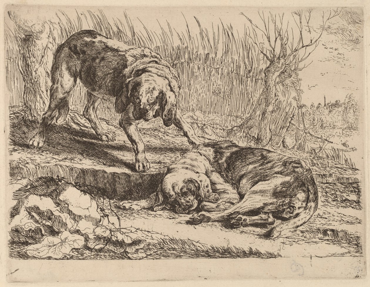 Dos beagles, uno durmiendo de Jan Fyt